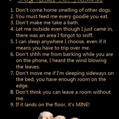 Dog Rules for Humans