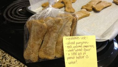 Homemade Pumpkin Dog Treats
