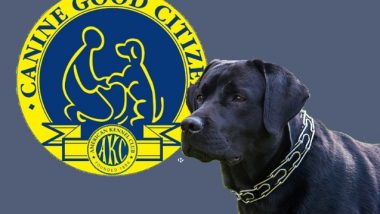 The Canine Good Citizen Award