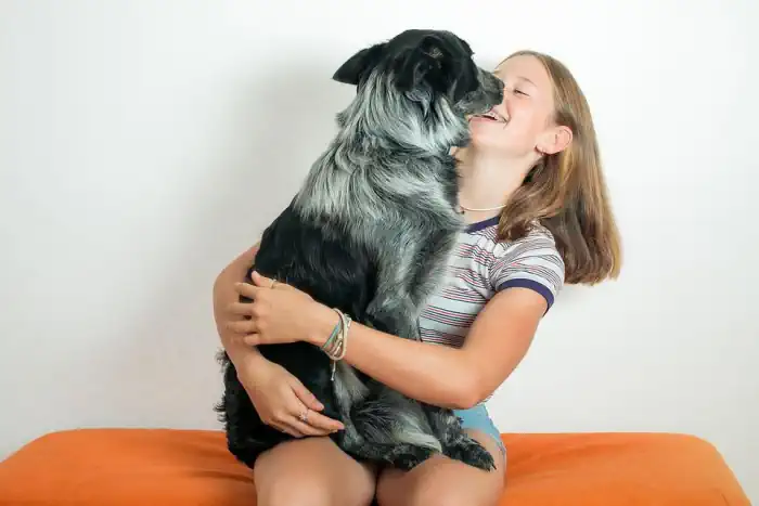 Dog Feels Loves For Owner