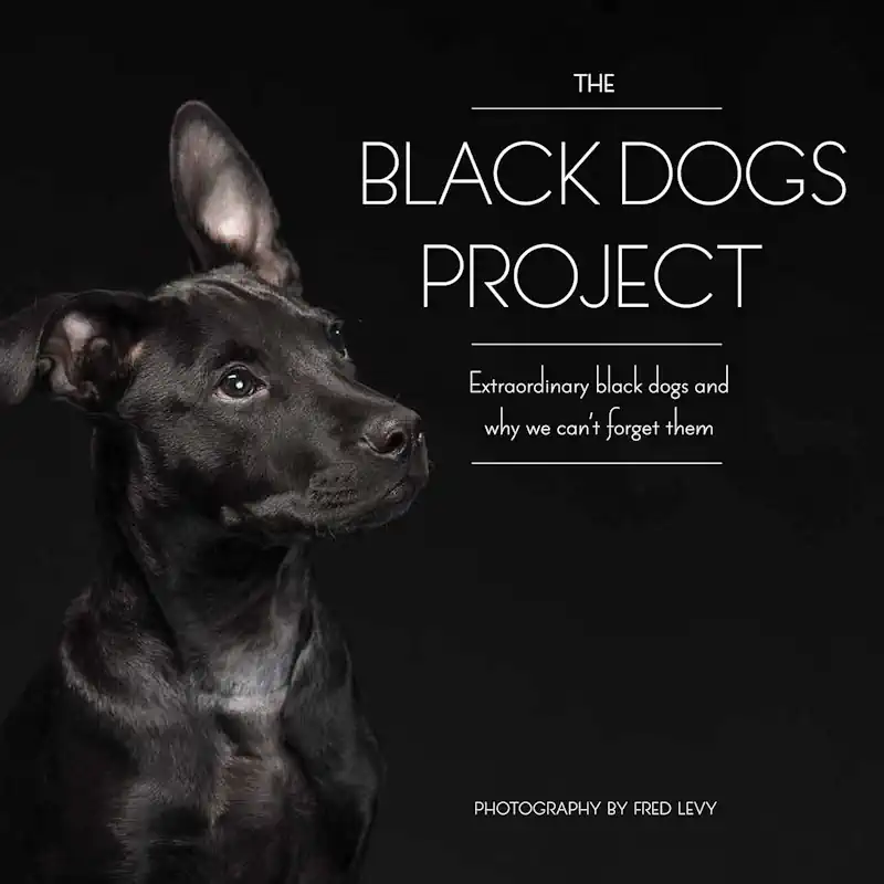 Fred Levy's Black Dogs Project