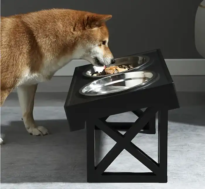 Dog Eating from Raised Bowls
