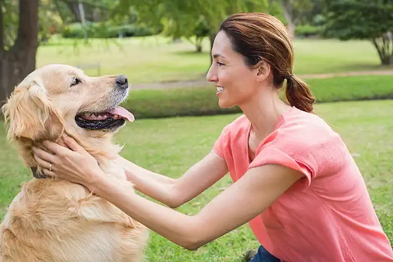 Happy Moment with Senior Dog