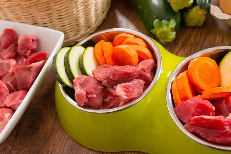 More Natural Dog Food