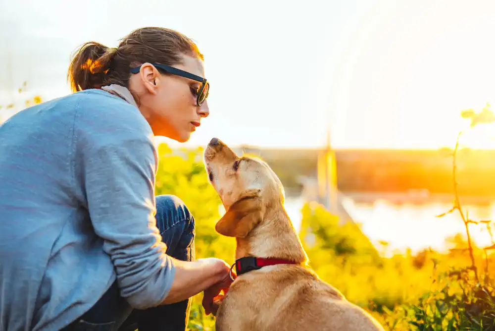 Dog Communicator with Dog