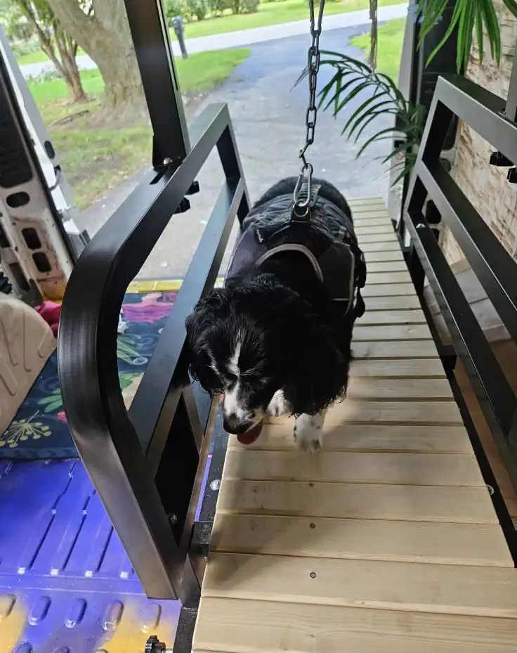 Running on the Slatmill